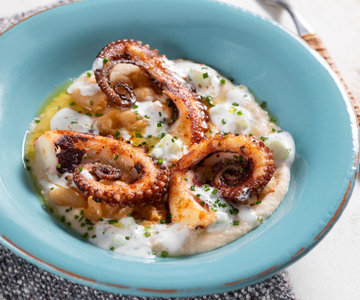 Toasted Octopus with White Bean Hummus and Tzatziki Sauce