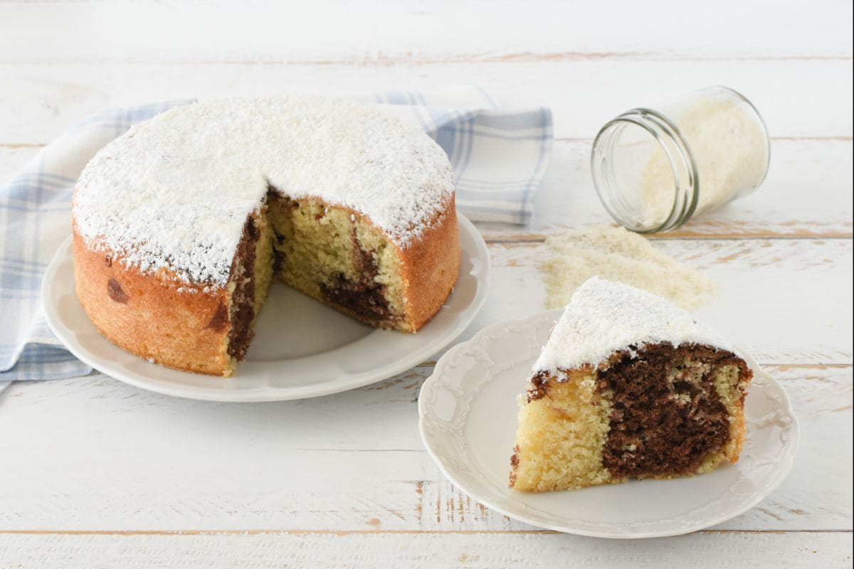 Soft Coconut and Chocolate Cake