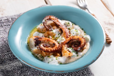 Toasted octopus with bean hummus and tzatziki sauce