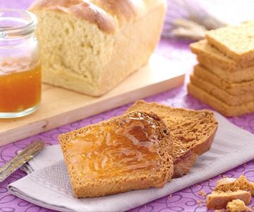 Toasted bread slices