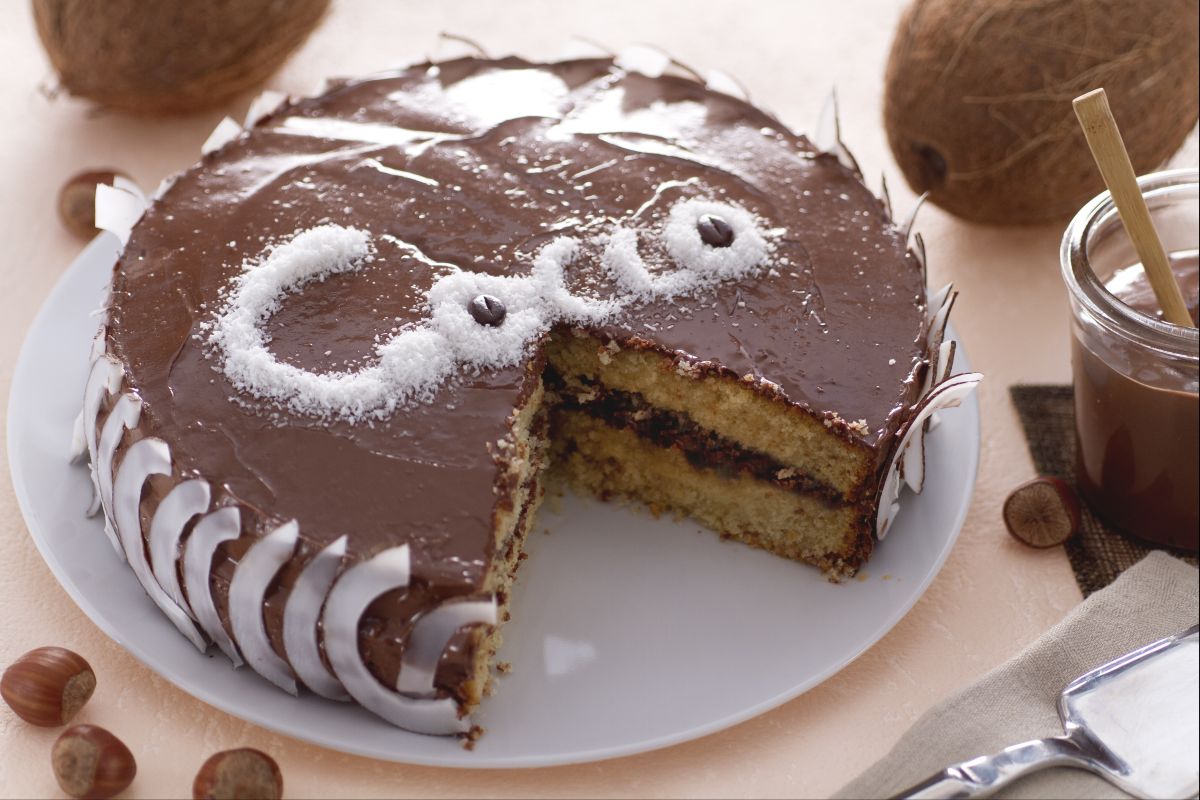 Coconut and Nutella Cake
