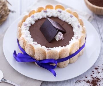 Charlotte with dark chocolate mousse