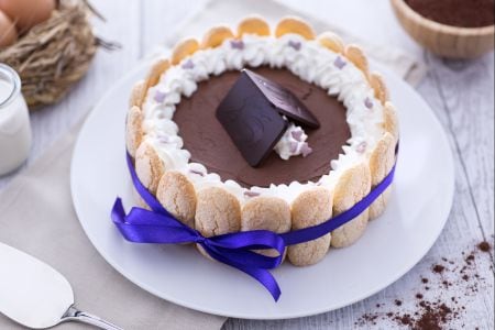 Charlotte with dark chocolate mousse