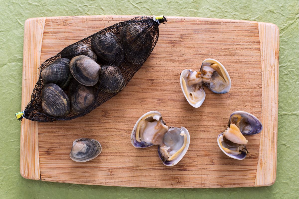 How to clean clams