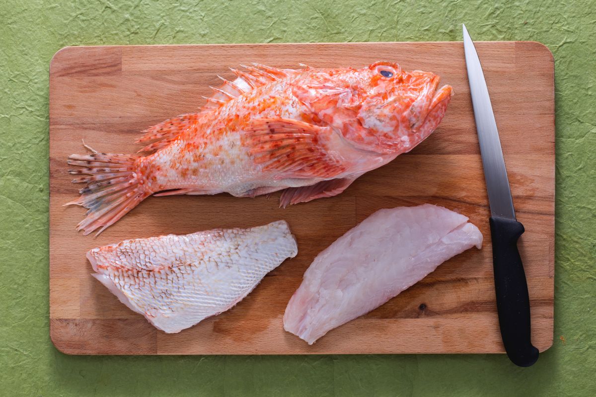 How to clean the scorpionfish
