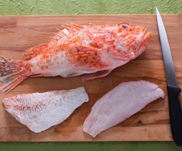 How to clean the scorpionfish