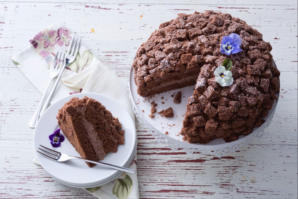 Chocolate Mimosa Cake