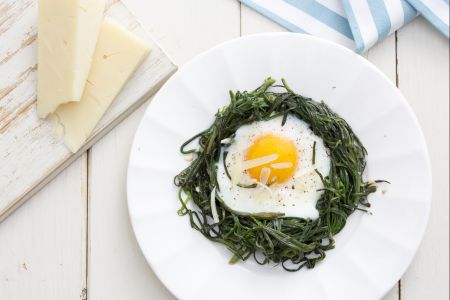 Agretti nests