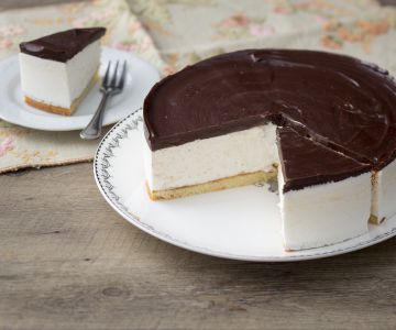 Bird's milk cake