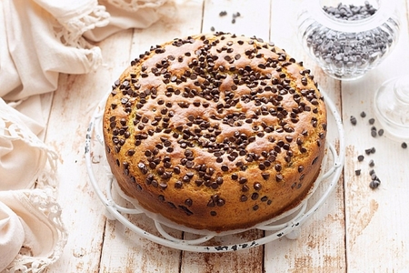 Chocolate Chip Cake