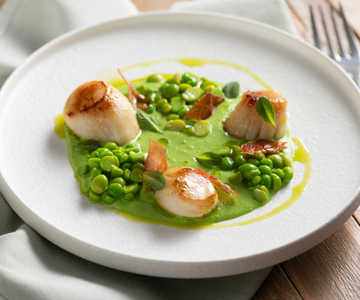 Seared Scallops on Pea Puree